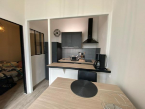 Studio meublé refait à neuf en Centre Ville